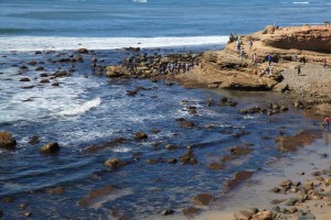 Low tide at Cabrillo National Monument's Tidepools