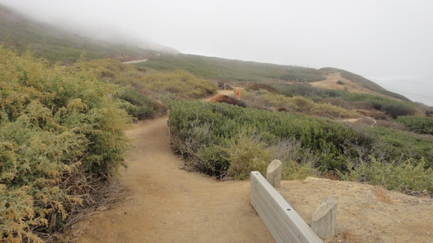 coastal trail