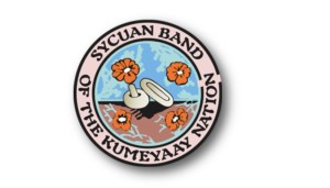 Sycuan Logo