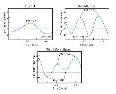 Caues of Tidal Cycles
