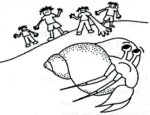Hermit Crab