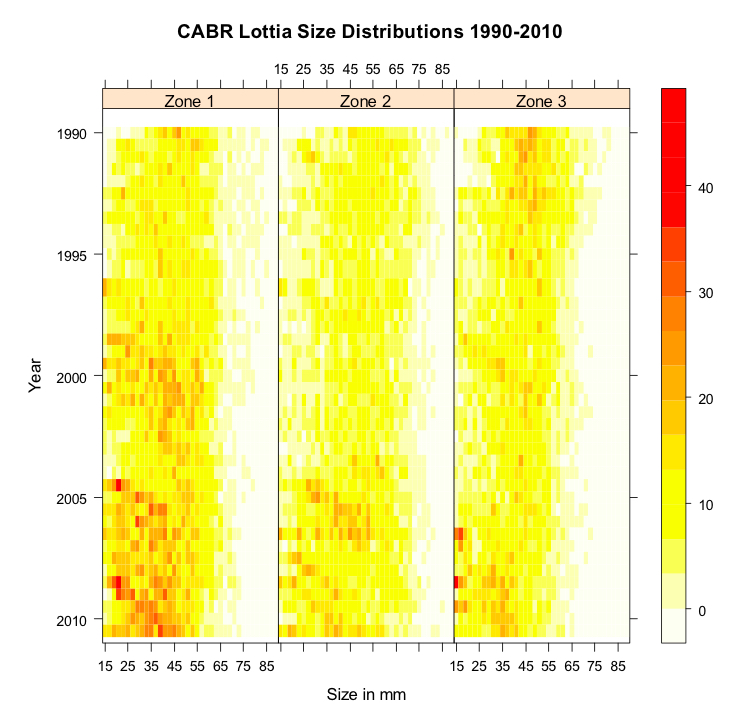Lottia Size Distributions