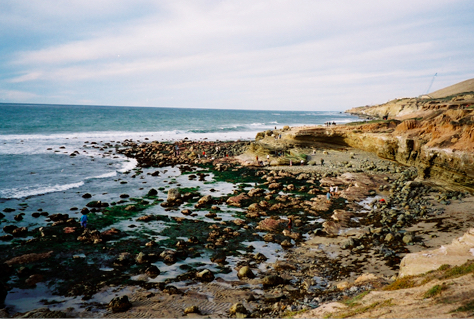 Low Tide