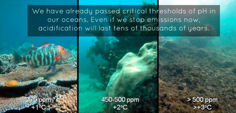 Ocean Acidification