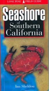 Seashore of Southern California