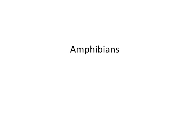 Amphibians at CNM