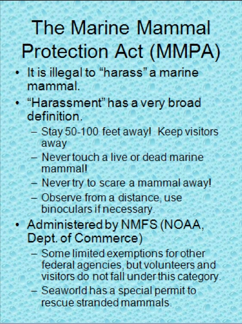 Marine Mammal Strandings