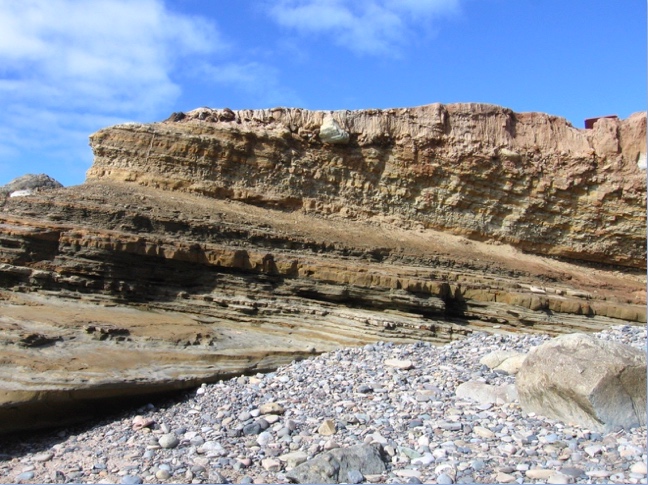 Trace Fossils of CNM