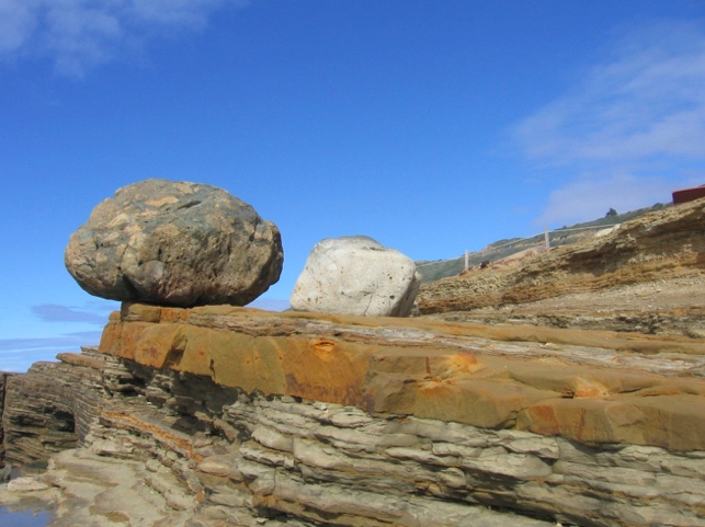 Trace Fossils of CNM