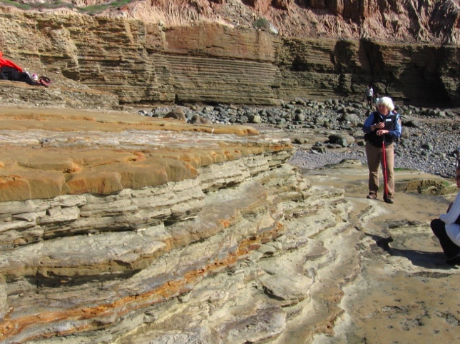 Trace Fossils of CNM