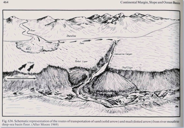 Trace Fossils of CNM