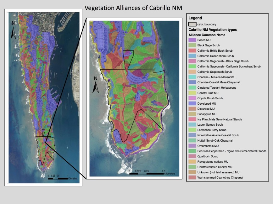 Vegetation Map