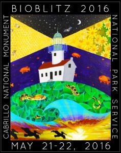 Bioblitz 2016