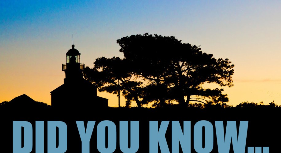 A lighthouse and pine tree in shadow at sunset. The words Did You Know are in blue at the base of the image
