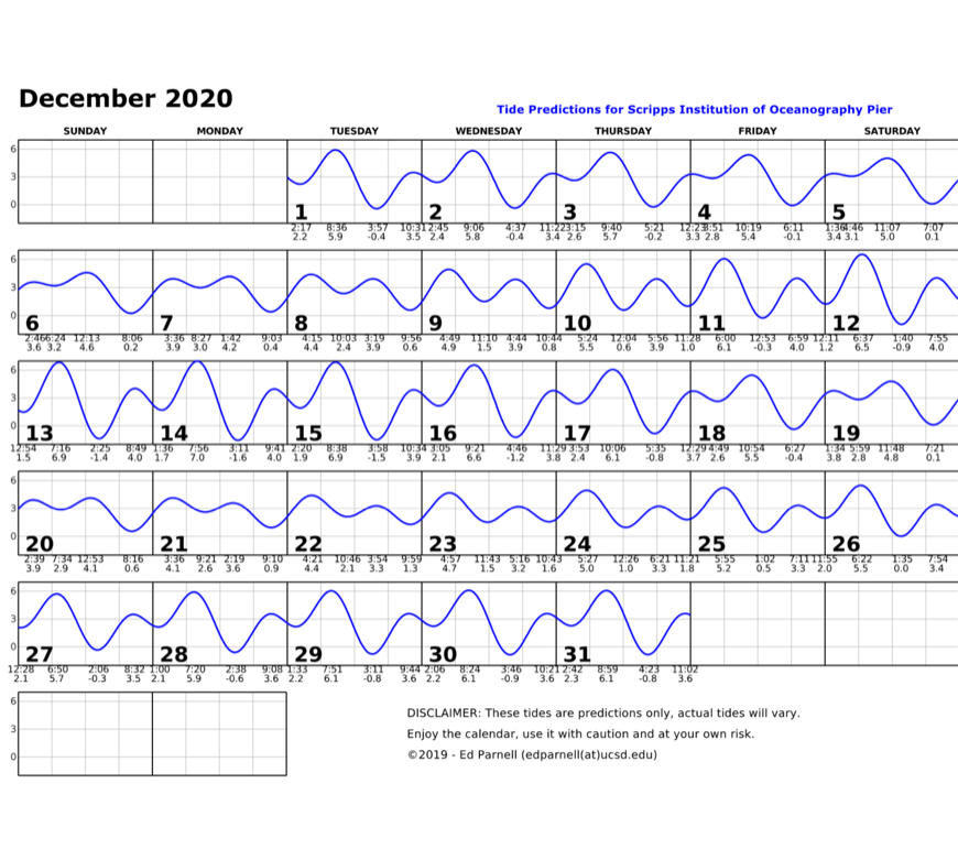 December 2020 calendar with single squiggly horizontal line through squares indicates high and low tides. Everyday the line goes down twice and up twice. The lowest tide during park hours is at 3:11pm on the 14th. This tide is a negative 1.6. Contact edparnell@ucsd.edu for more details about the calendar.