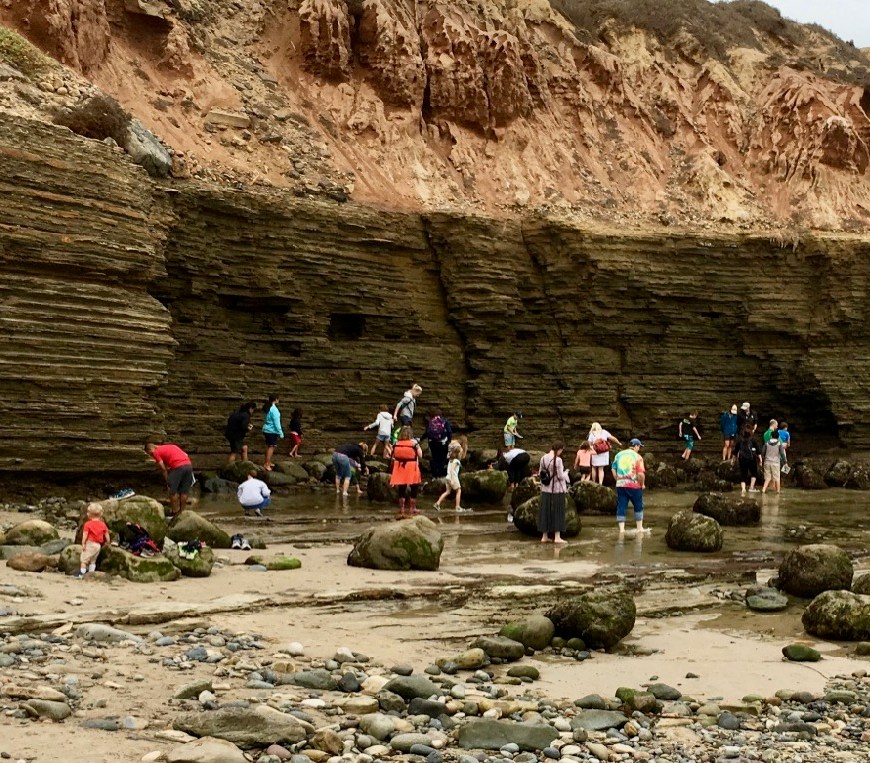 People walking along rocky shore adjacent to sandstone cliffs