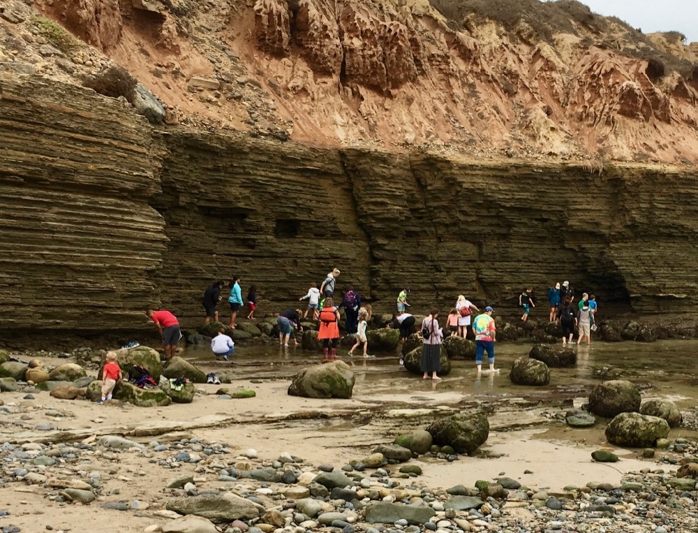 People walking along rocky shore adjacent to sandstone cliffs