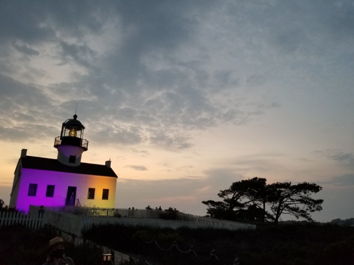 Lighthouse at night lit up with purple and gold against a partly cloudy sky. A tree is to the right of the lighthouse