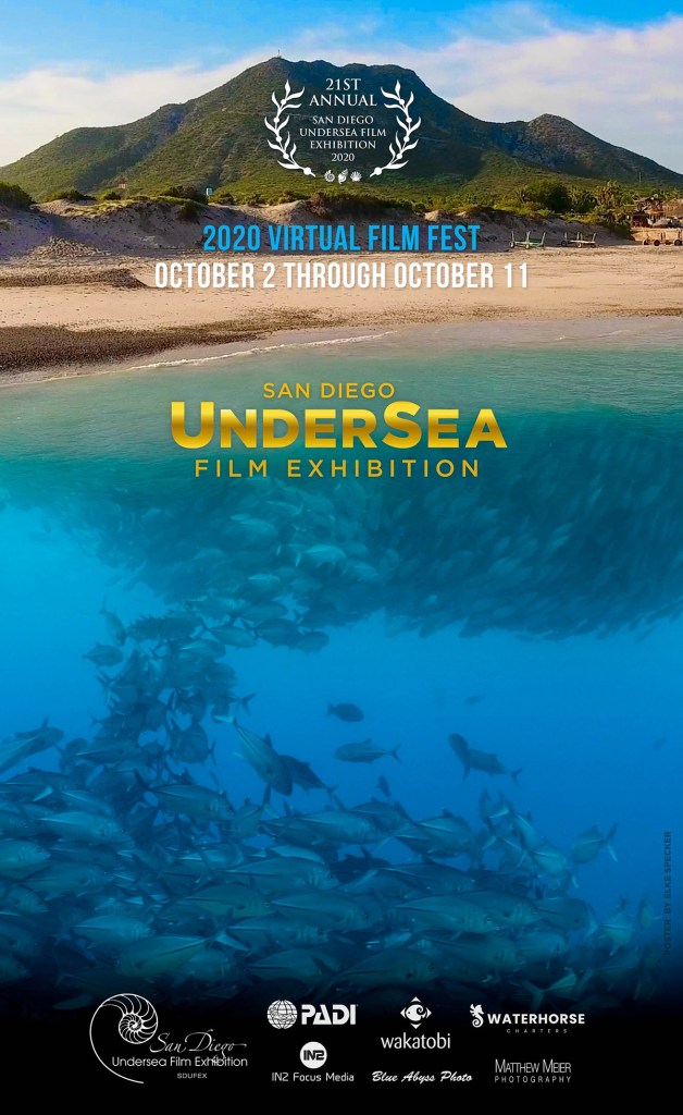 A tropical island with a lush green mountain in the distance. In front of the mount is a sandy beach and a calm blue ocean.