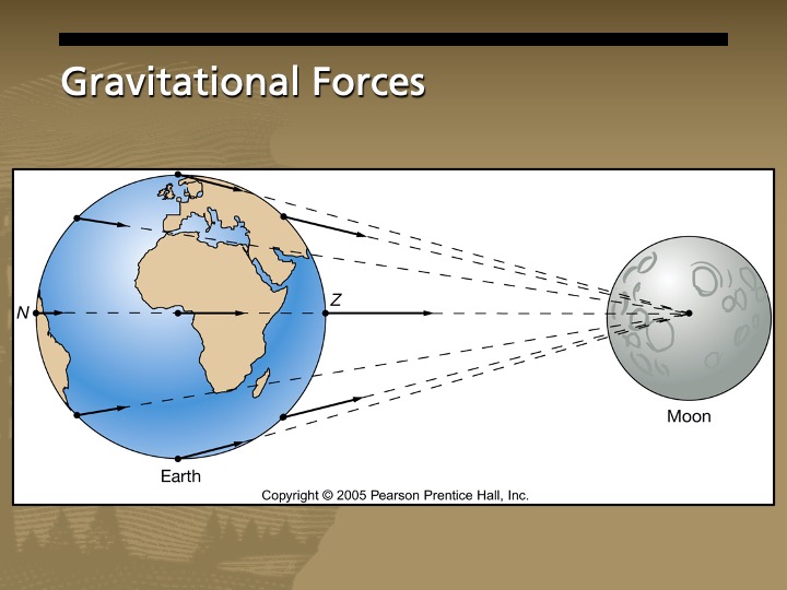 A drawing of the earth with the moon to the right. Dashed lines between the two show the gravitational forces.