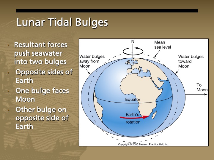 A globe with bulges on the sides.The equator is shown with a red arrow pointing to the right indicating the rotation of the earth. A dashed circle slightly larger than the earth indicates Mean sea level.