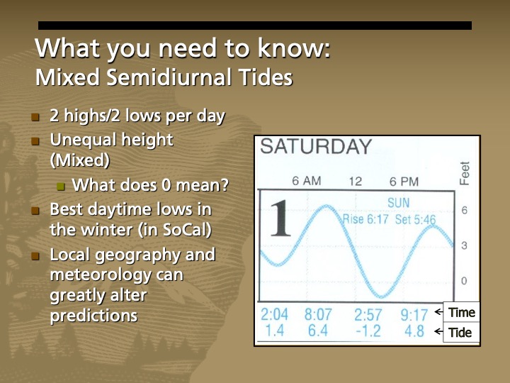 Graph with blue squiggly line showing two and two low tides for a single day. One high tide is higher and one is lower.