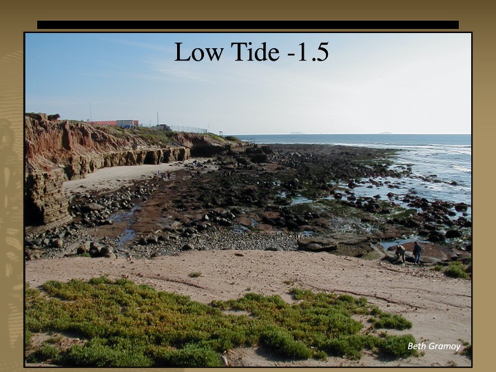 A rocky beach next to a body of water at a low tide of -1.5ft.