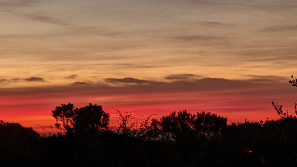 Sunset with orange sky and low lying shrubs in shadow