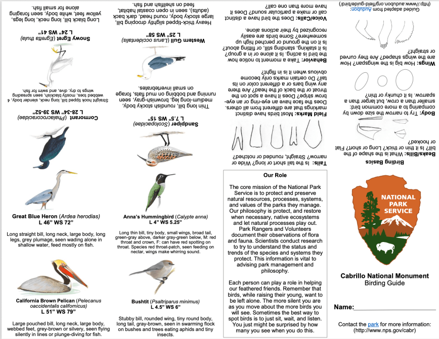 Text and images showing various birds at Cabrillo