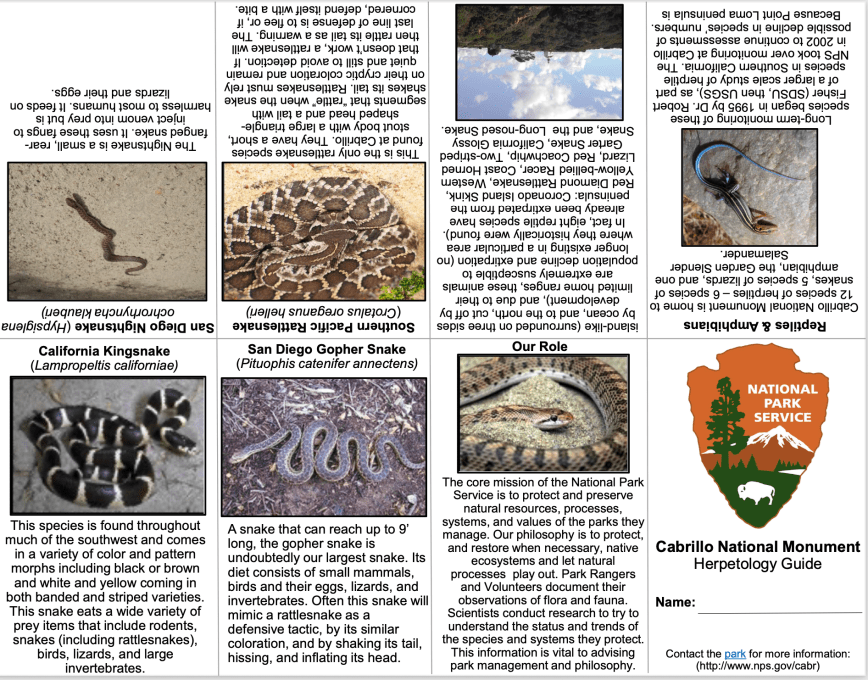 Text and images showing various Herps at Cabrillo