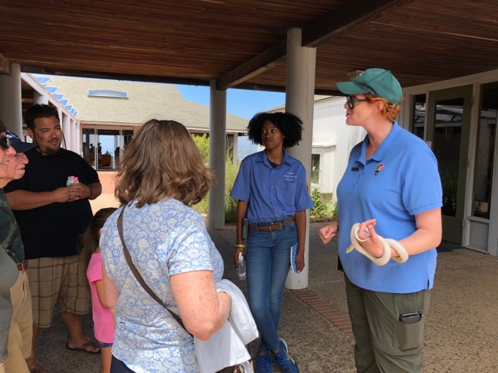 Science Educator Sam stands outside the administrative building holding Summer, an albino King Snake in her left hand. A group of visitors is gathers looking at the yellow snake. Apprentice Felix looks on in the background.