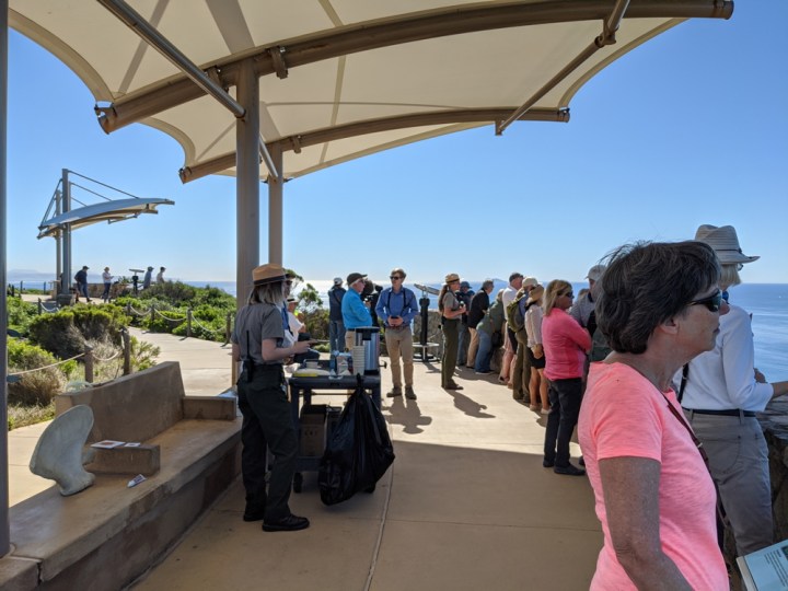 A crowd of 15 park visitors stand at a wall made of large rocks looking toward the ocean. Ranger Elizabeth stands next to a wheeled cart with coffee cups and coffee urns. Volunteer Wyler and Ranger Amanda are holding binoculars to watch for whales.