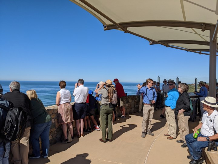 A crowd of more than 15 park visitors stand at a rock wall looking toward the ocean. Ranger Amanda holds binoculars and faces the ocean. Volunteer Wyler holds binoculars and talks to two park visitors and points toward the ocean.