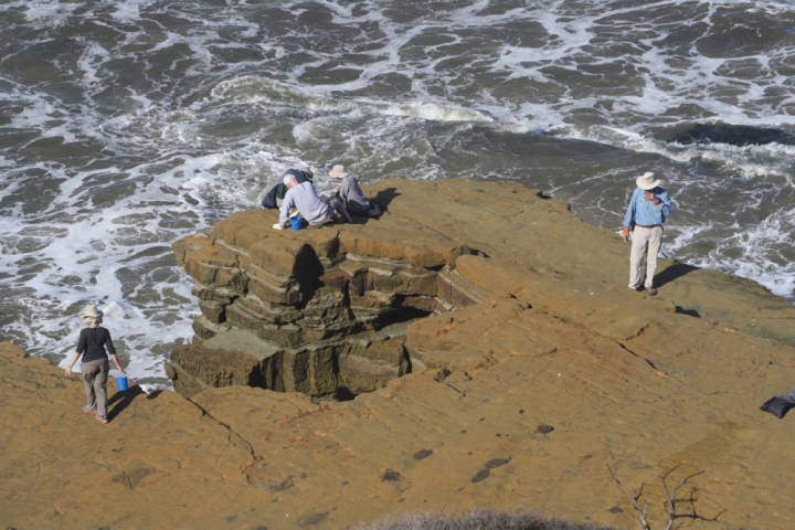 Tidepool VIPs Patrick, Amy, Charlie, Bob and Eve on smooth, tan rocky surface next to grayish-blue ocean with lots of white foam on top. Three VIPs sit and kneel near the cliff edge with a blue bucket next to them, a fourth carries a blue bucket along a cliff edge in the foreground, and the last stands towards the back of the frame.