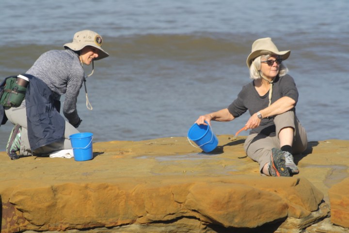 Tidepool VIPs Amy and Eve each with a blue bucket next to them on flat, tan rock with ocean behind. Eve, wearing a navy shirt, tan pants and tan hat, is sitting on the rock holding the bucket and a tool. Katrina is kneeling with her back to the camera and wearing a blue sweater and gray pants with the VIP floppy hat.