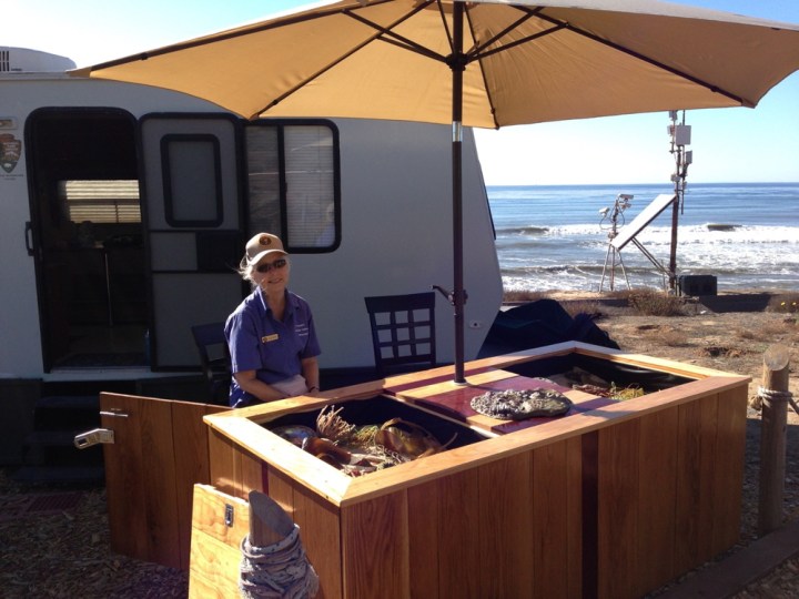 Park volunteer Becky sits behind the tidepool Education Table under a tan umbrella. The table contains sand and models of sea creatures found in Cabrillo’s tidepools. The tidepool trailer, webcams and ocean are in the background.