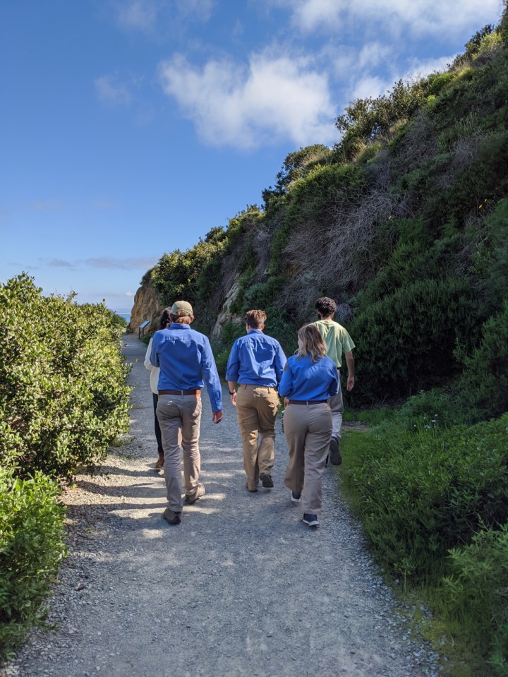 A view from behind as a group of volunteers walks up the gravel path of the bayside trail. A slope with green vegetation is to their right.