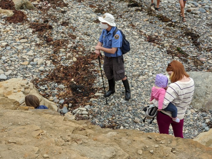 Aerial view - VIP Scott leans against hiking pole, stands on small gray rocks near kelp, and looks towards tall sandstone cliffs. Visitors walk around him.