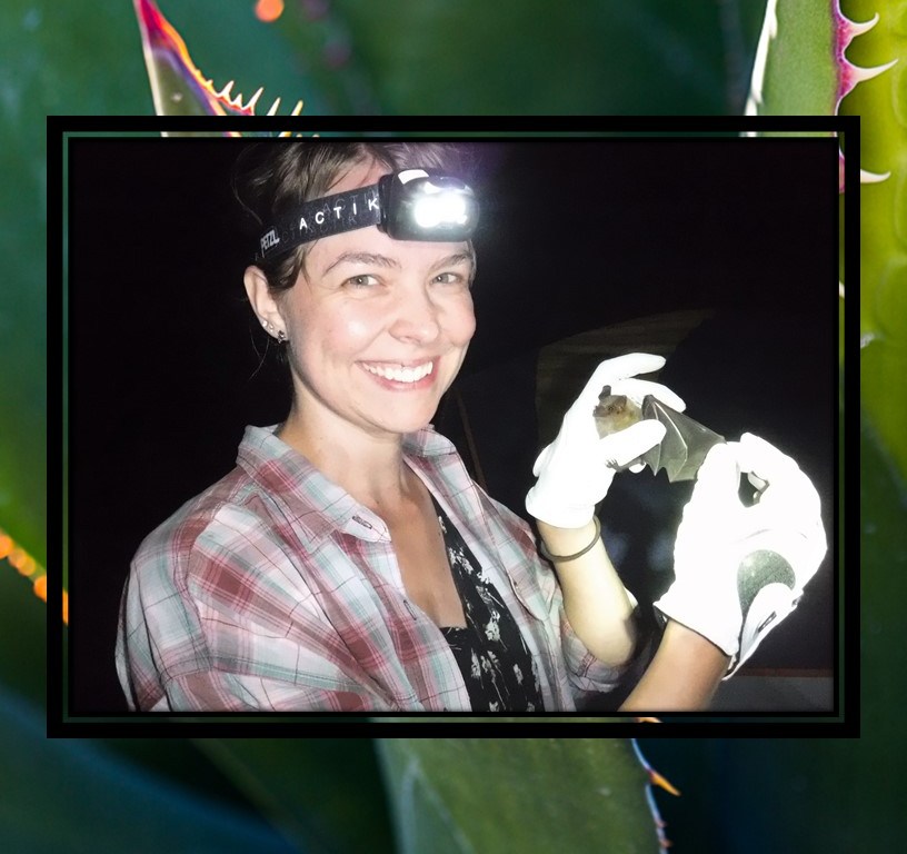 A smiling woman wears a lit headlamp, a plaid shirt, and white gloves while she holds a golden-brown bat with an outstretched wing. The image is overlaid over a background of a plant with dark green, vertically-orientated leaves with yellow, serrated edges.