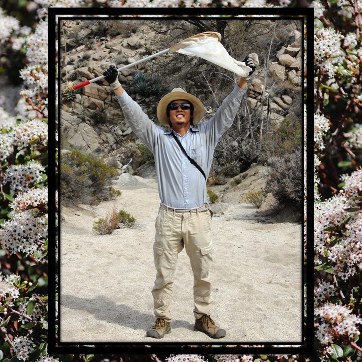 A man in cargo pants, wide-brimmed hat, and sunglasses stands on a dirt trail and holds a net with handle attached over his head. This image is overlaid over a background of small, abundant white flowers on a green and brown bush