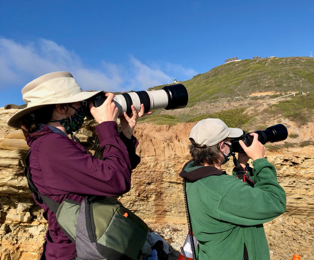 Two women holding cameras with long lens pointed at the sky, watching birds.