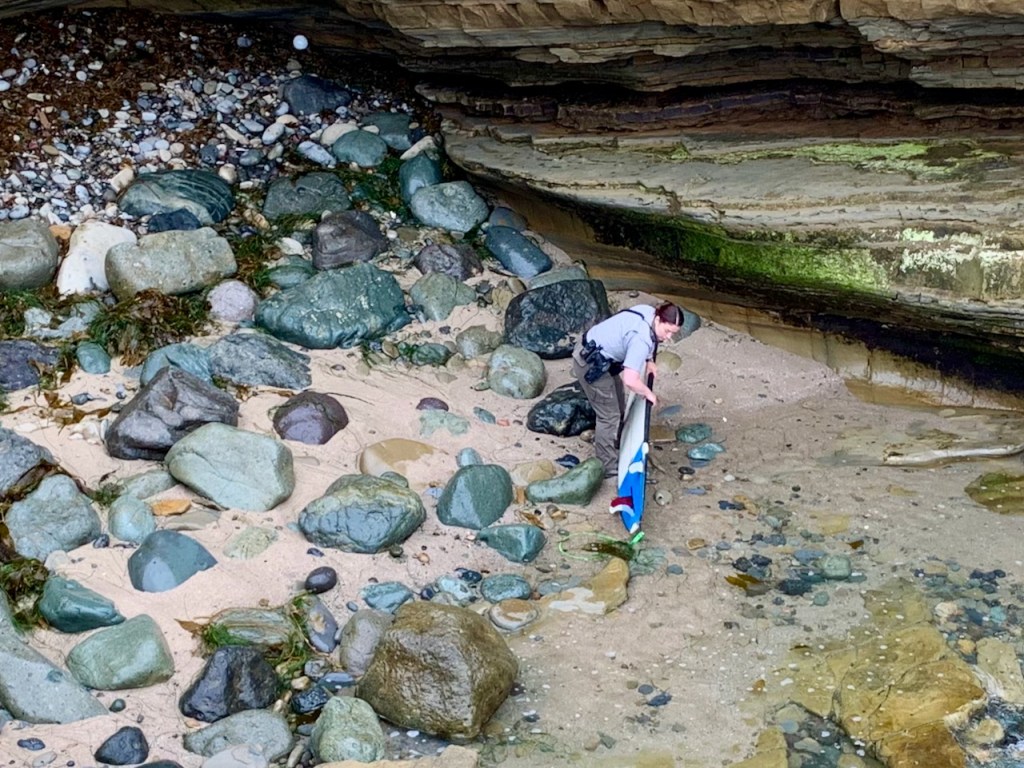 A woman picks up a surfboard along a rocky coast.