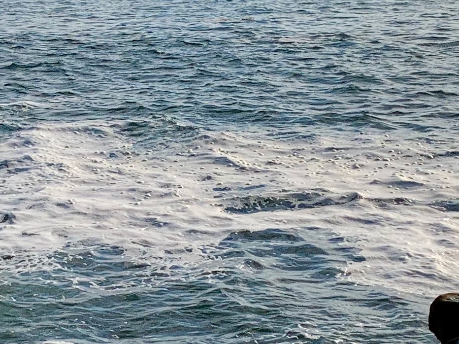 White softball sized blobs in foam on top of ocean.