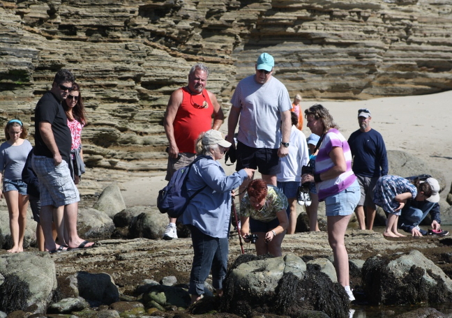 People climbing along a rocky beach