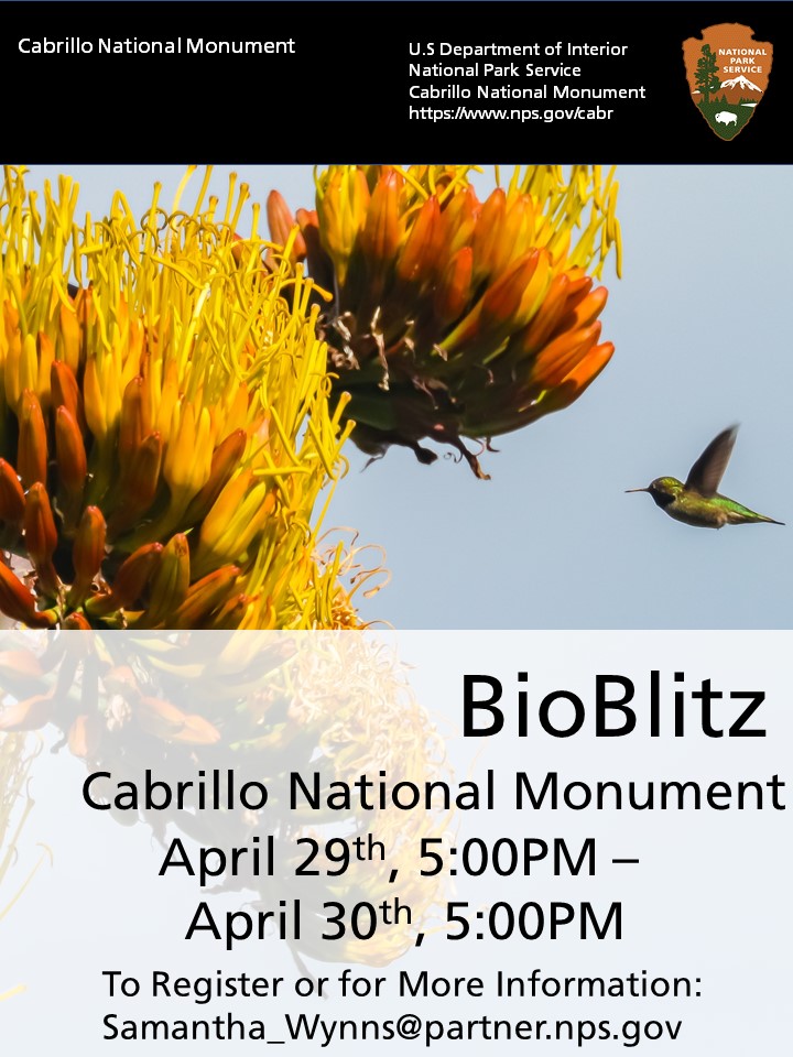 Large yellow flowers dominate the left side of the image and a green hummingbird flies in from the right.