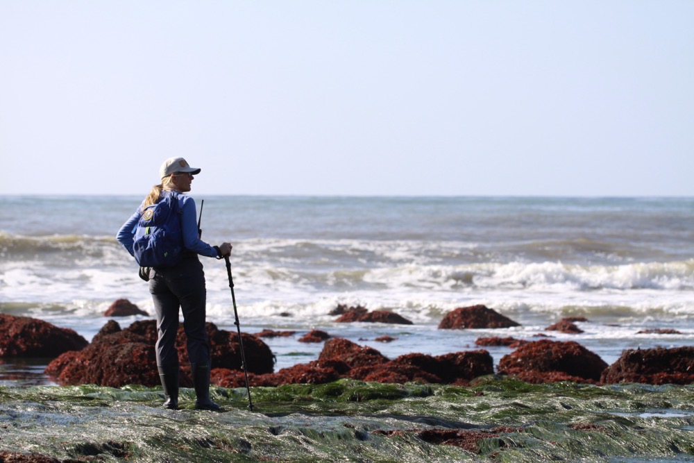 A woman in blue shirt and baseball hat stands at edge of ocean