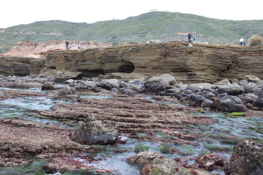A rocky beach with tan sandstone cliffs in the background. People stand on top of the cliffs.