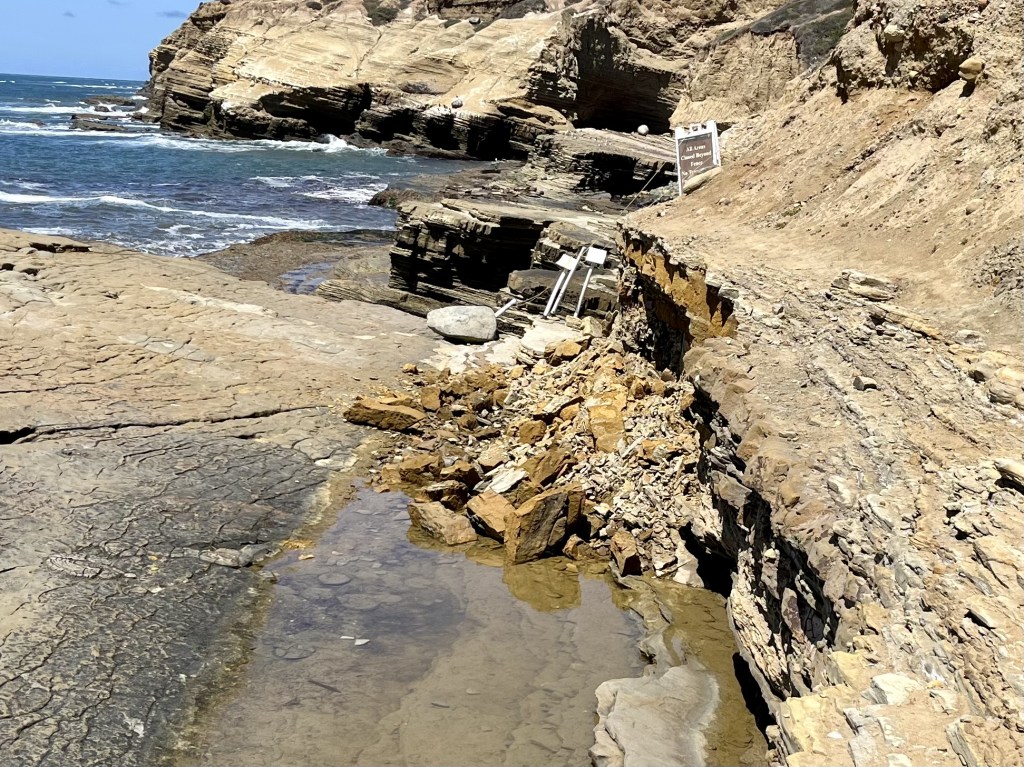 A pile of rocks that broke off from a cliff.