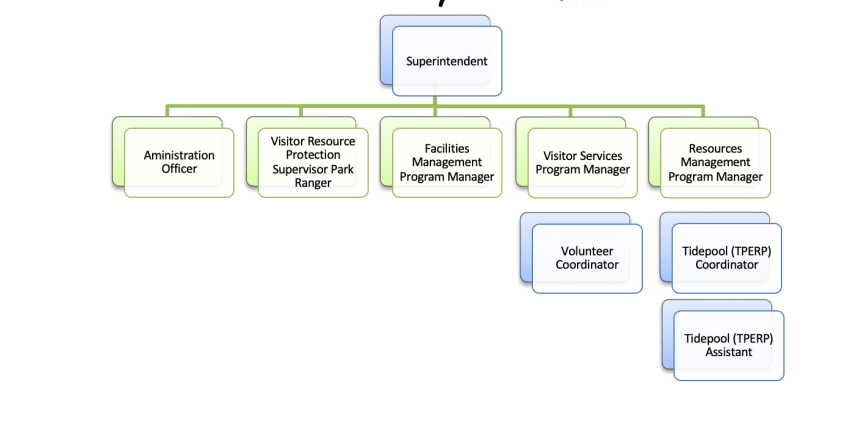 Screen Shot 2022-05-26 at 1.38.37 PM