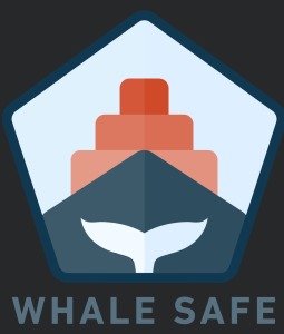 A drawing of a whale tale promoting the Whale Safe program